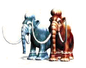 Bitmap Image